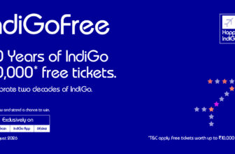 Happy Indigo Day Offer