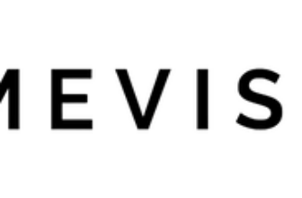 Amevista Logo
